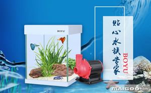 海魚金龍魚：海魚金龍的生物學(xué)特征、生活習(xí)性和養(yǎng)殖方法 水族問答