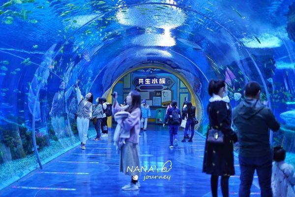 水族館哪個(gè)地方的好玩：全球著名的水族館