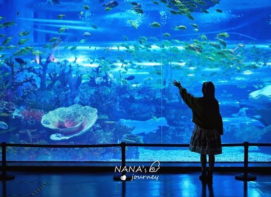 水族館哪個(gè)地方的好玩：全球著名的水族館