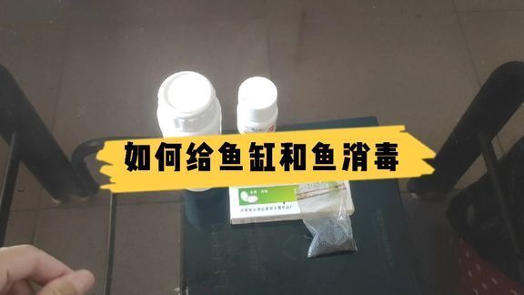 觀賞魚消毒藥使用方法：有效使用觀賞魚消毒藥 觀賞魚百科 第4張