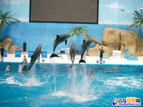 開一家水族館能掙錢嗎現(xiàn)在怎么樣：開一家水族館是否能賺錢