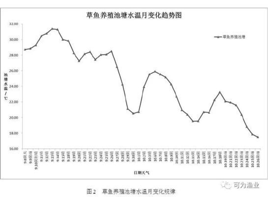 好養(yǎng)的龍魚品種有哪些：養(yǎng)龍魚的注意事項 水族問答 第2張