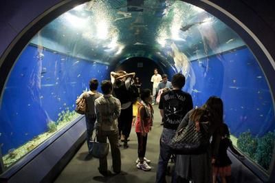 水族館的發(fā)展：中國水族館行業(yè)發(fā)展迅猛 水族館百科（水族館加盟） 第3張