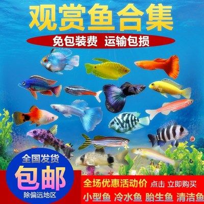 水族館經(jīng)營范圍有哪些市場監(jiān)管容易查下：水族館公司的經(jīng)營范圍 水族館百科（水族館加盟） 第2張