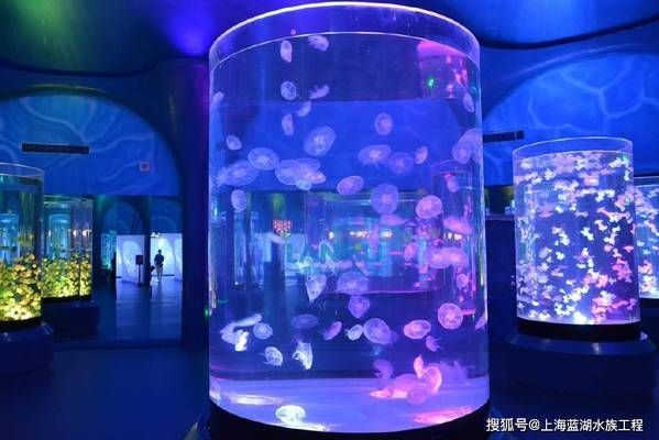 水族館場景：水族館場景素材的獲取途徑， 水族館百科（水族館加盟） 第1張