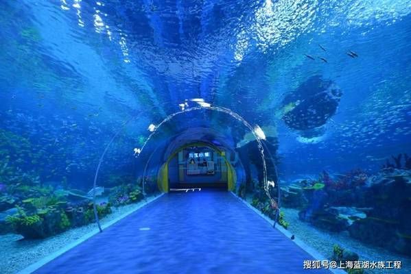 水族館場(chǎng)景：水族館場(chǎng)景素材的獲取途徑，