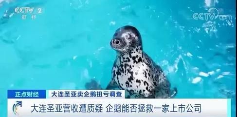 水族館主營業(yè)務(wù)有哪些類型：水族館會員福利 水族館百科（水族館加盟） 第5張