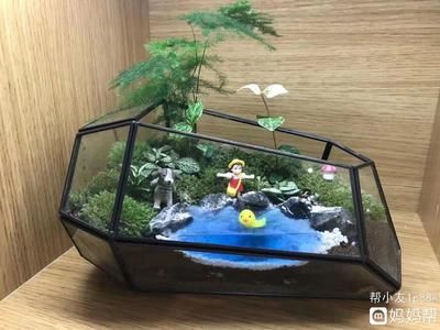 夢見魚缸里多了很多小魚：夢見魚缸小魚增多是什么意思 魚缸百科 第3張