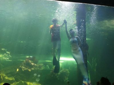 洛陽水族館：洛陽旅游攻略洛陽龍門海洋館 全國觀賞魚市場 第3張