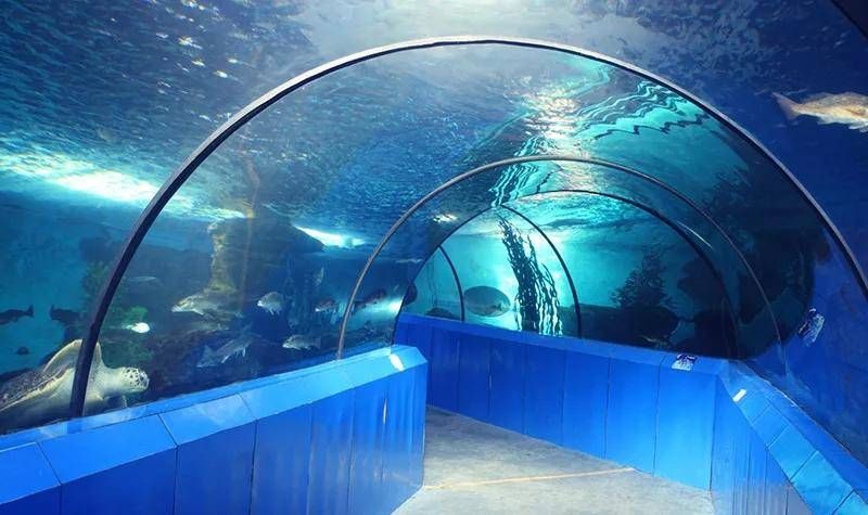 洛陽(yáng)水族館：洛陽(yáng)旅游攻略洛陽(yáng)龍門海洋館