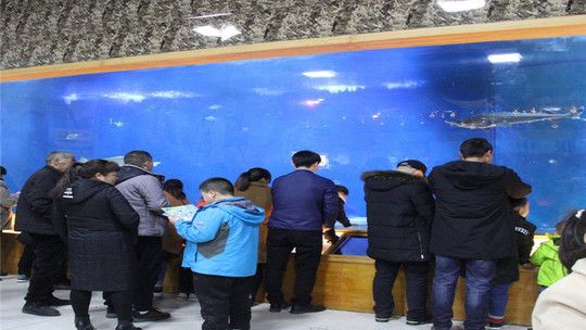 洛陽水族館：洛陽旅游攻略洛陽龍門海洋館 全國觀賞魚市場 第4張