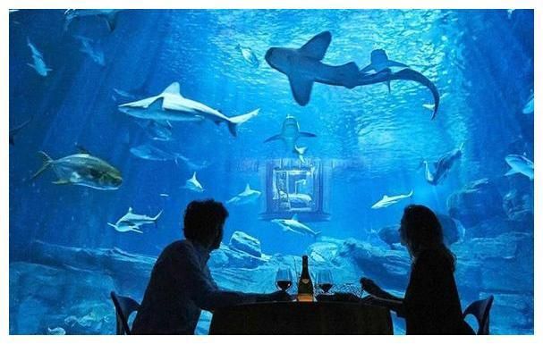 開一家水族館賺錢嗎知乎：開設(shè)水族館的盈利前景如何