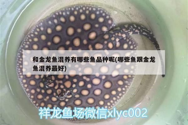 海麗雅魚缸安裝分解圖大全：海麗雅魚缸安裝分解圖 魚缸百科 第2張