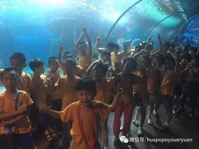 開個水族館的艱難生活視頻：關于開個水族館的艱難生活