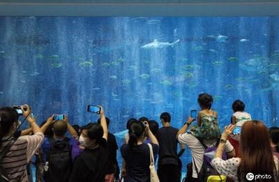 開個水族館的艱難生活視頻：關于開個水族館的艱難生活