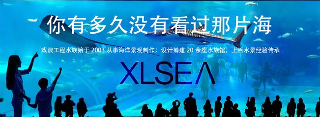 開一個水族館需要的采購清單：開一個水族館需要采購的物品 水族館百科（水族館加盟） 第4張