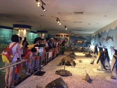 山南水族館：北京昌平小湯山南水族館 全國(guó)觀賞魚市場(chǎng) 第2張