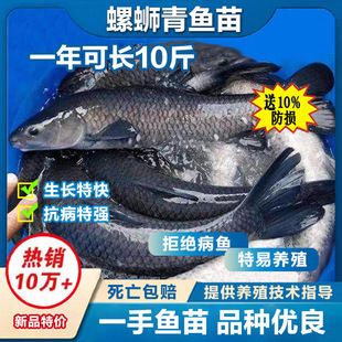 喬僮皖魚缸：喬僮皖魚缸用戶評價匯總 魚缸百科 第1張