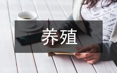 紅金龍魚拍賣記錄查詢系統(tǒng)：如何查詢紅金龍魚拍賣記錄？ 水族問答 第2張