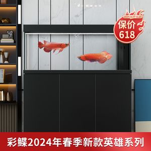 龍魚缸水位多少合適：夏季龍魚缸水位調(diào)整技巧，冬季龍魚缸水溫管理方法