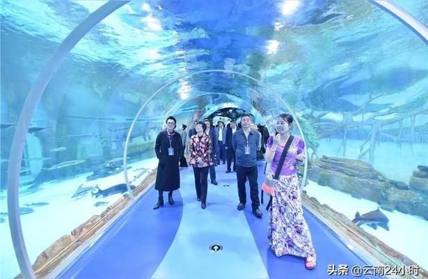 德宏傣族景頗族自治州魚缸批發(fā)市場 全國觀賞魚市場 第1張