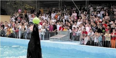 十堰水族館：十堰旅游攻略之十堰博物館 全國觀賞魚市場 第1張