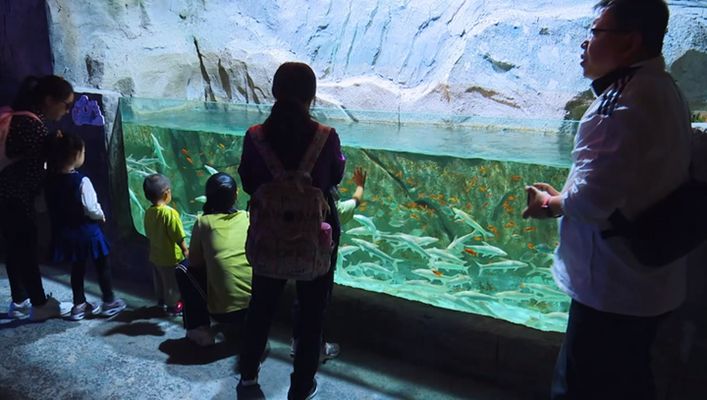 唐山水族館：廈門旅游必去的十大景點 全國觀賞魚市場 第5張