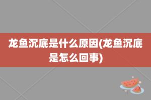 龍魚開燈就游動：龍魚在開燈后會表現(xiàn)出游動， 龍魚百科 第3張