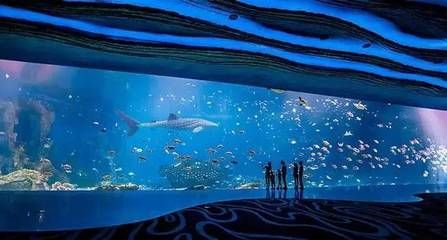 珠海水族館：世界上最大的水族館在中國嗎？