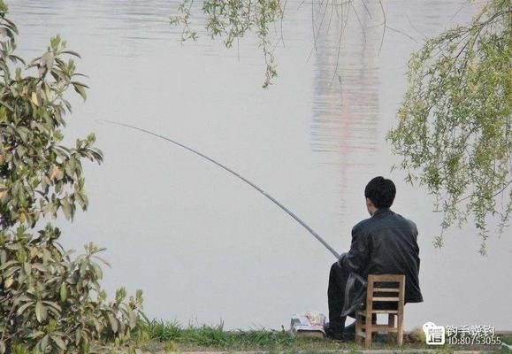 紅龍魚(yú)燈光使用：紅龍魚(yú)燈光使用的具體方法 水族問(wèn)答 第2張