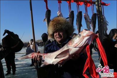 紅龍魚(yú)底色發(fā)紫什么原因引起的：關(guān)于紅龍魚(yú)底色發(fā)紫的問(wèn)題 水族問(wèn)答 第2張