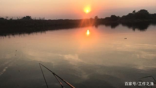 紅龍魚底色黑換白最簡單處理方法是什么：紅龍魚底色黑換白最簡單處理方法是什么？ 水族問答 第1張