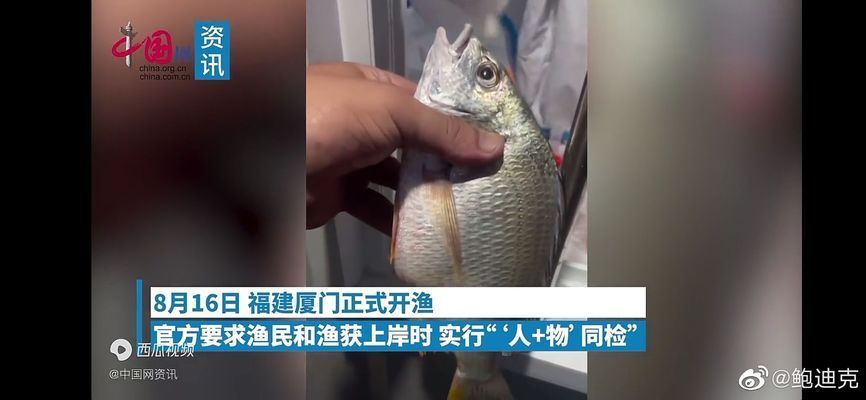 龍魚缺氧魚是什么表現(xiàn)：如何檢測龍魚缺氧 龍魚百科 第2張