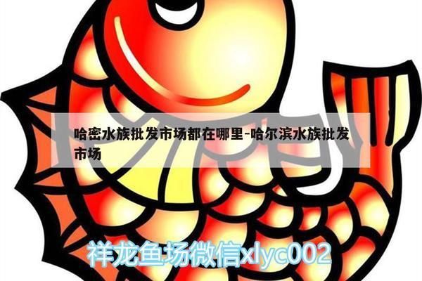 哈密水族批發(fā)市場 全國觀賞魚市場 第4張