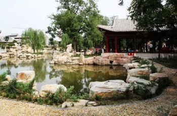 聊城水族館：山東聊城水族館 全國觀賞魚市場 第2張