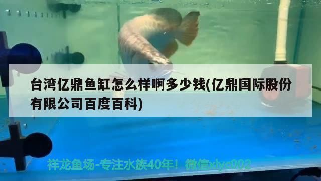 紅龍魚幾年能紅：如何飼養(yǎng)紅龍魚？ 水族問答 第2張