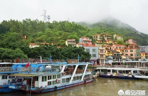 清遠(yuǎn)水族批發(fā)市場 全國觀賞魚市場 第3張