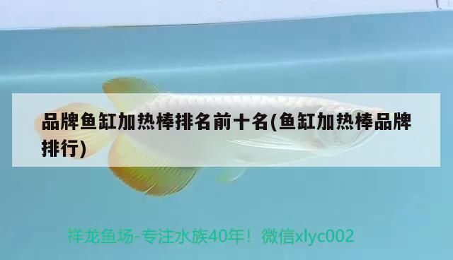 品牌魚(yú)缸加熱棒排名前十：2024年水族加熱棒排名前十的品牌 魚(yú)缸百科 第2張