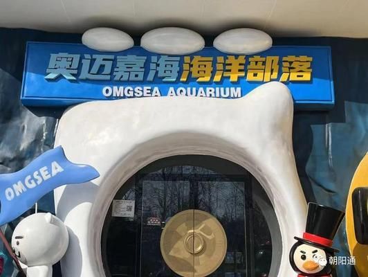 朝陽水族館：天元區(qū)朝陽水族館12月09日注冊地位于2020年12月09日 全國觀賞魚市場 第4張