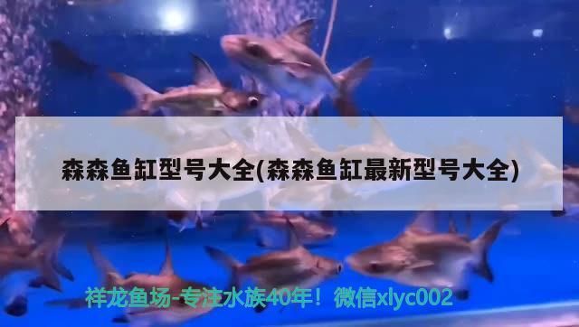 森森魚缸各型號及價(jià)格：森森魚缸各型號價(jià)格詳情 魚缸百科 第2張