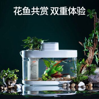 畫法幾何魚缸一鍵換水：畫法幾何魚缸換水 魚缸百科 第3張