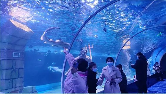 漯河水族館：漯河市源匯區(qū)玖龍水族館為游客提供了一個(gè)獨(dú)特而令人難忘的海洋生物 全國(guó)觀賞魚市場(chǎng) 第3張