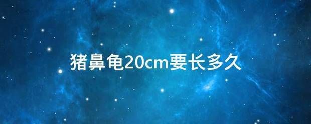 豬鼻龜幾年能長到30公分高：豬鼻龜多久可以長到20公分的殼 豬鼻龜百科 第8張