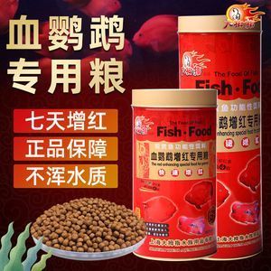 龍魚能吃多大的魚糧：龍魚的喂食量和魚糧大小會從哪些因素而變化 龍魚百科 第1張