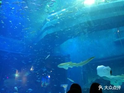 包頭水族館：內(nèi)蒙古包頭水族館包頭水族館簡介#包頭水族館簡介