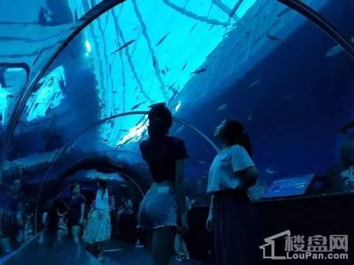 包頭水族館：內(nèi)蒙古包頭水族館包頭水族館簡介#包頭水族館簡介