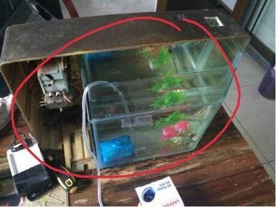 成品魚缸蓋子怎么拆卸：成品魚缸蓋子拆卸后的存放方法，魚缸拆卸后的存放方法 魚缸百科 第2張