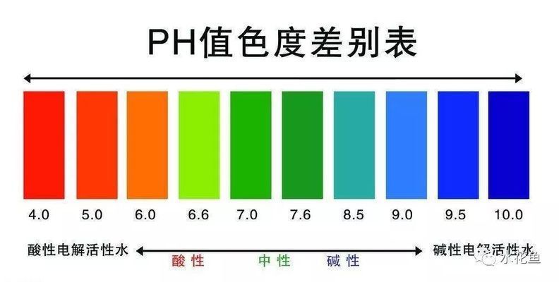 紅龍魚(yú)苗批發(fā)價(jià)格表最新：紅龍魚(yú)苗的批發(fā)價(jià)格是怎么確定的？ 水族問(wèn)答 第2張