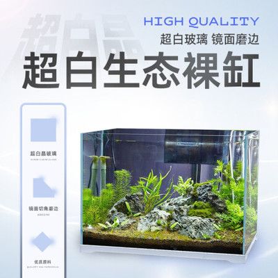 精晶魚缸怎么樣：精晶魚缸與其他品牌對比，如何布置精晶魚缸的水景 魚缸百科 第2張