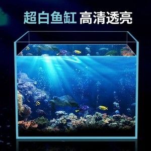 精晶魚缸怎么樣：精晶魚缸與其他品牌對比，如何布置精晶魚缸的水景 魚缸百科 第4張